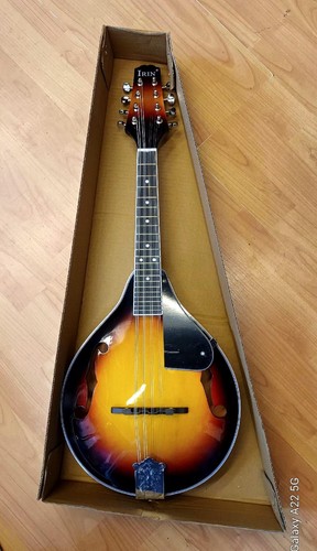 Mandolin brand new - brand,