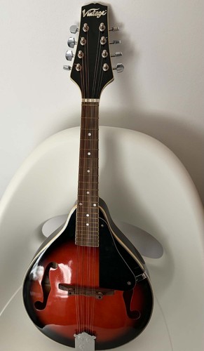 Vintage mandolin with - mandolin, case