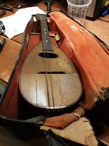 Mandolin alfonso moretti for - mandolin,