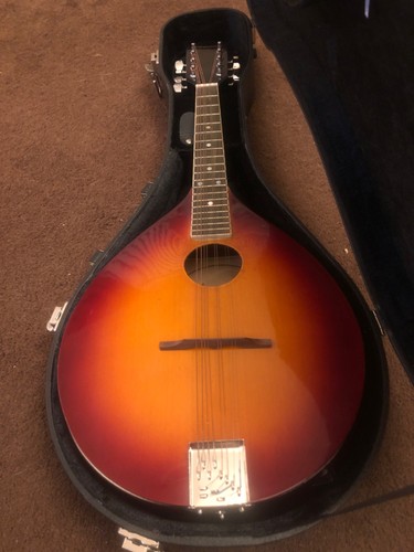 Maestro vintage mandolin - maestro,