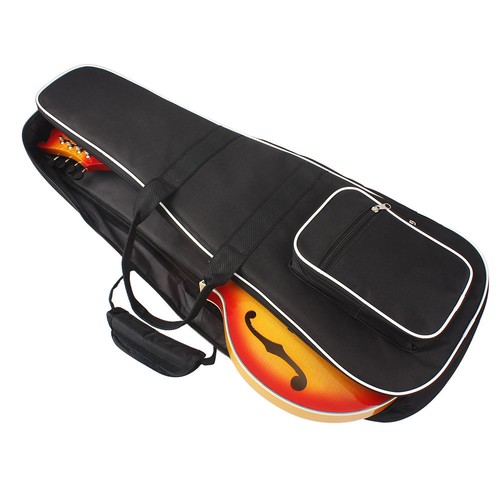 Mandolin case gig bag - case,