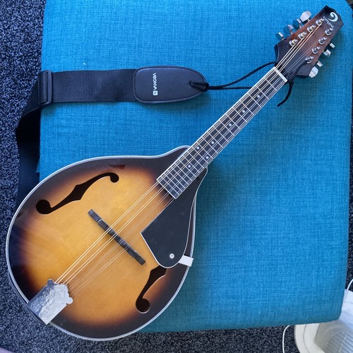 Banjo mandolin string - mandolin, 8-string