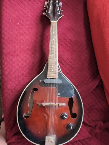 Wesley mandolin rus used - m-s-rus,
