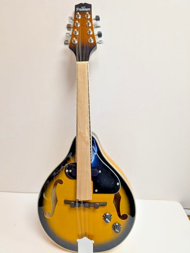 Freshman m1e chicago sunburst - freshman,