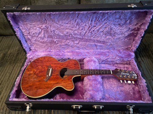 Crafter acoustic electric - crafter,