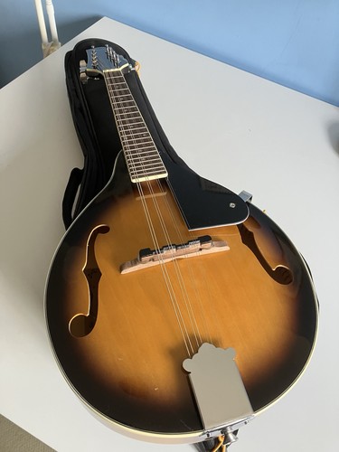 Donner mandolin 2012 unused - 2012,,