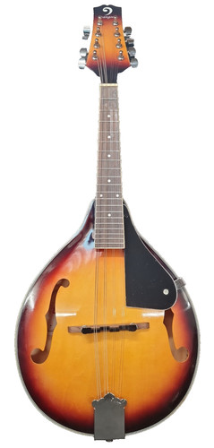 Vangoa mandolin string - mandolin, 8-string