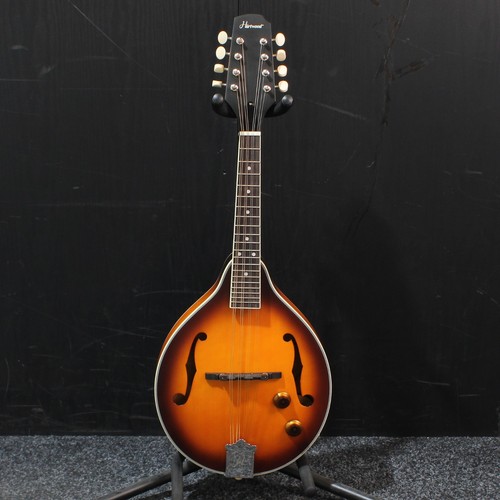 Hartwood electro mandolin - electro,