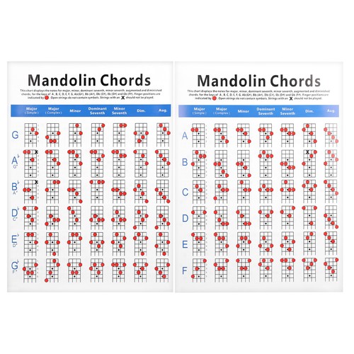 Mandolin chord chart coated - chart,