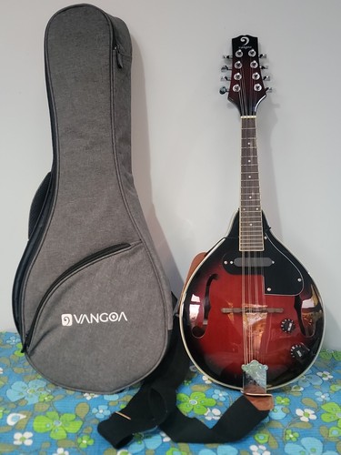Vangoa style mandolin - a,