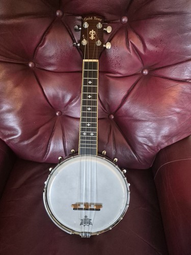 Gold tone mandolin banjo - tone, mandolin.banjo
