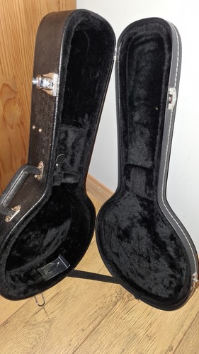 Mandolin hard case style - a,