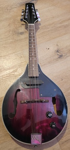 Stagg m50 bluegrass - m50, e