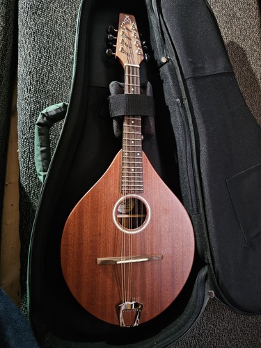 Ashbury rathlin tenor - tenor, mandolin