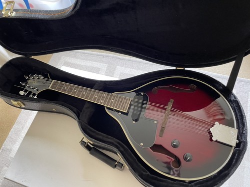 Electric mandolin godman - mandolin,