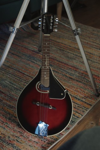 Gremlin mandolin open to - (open,