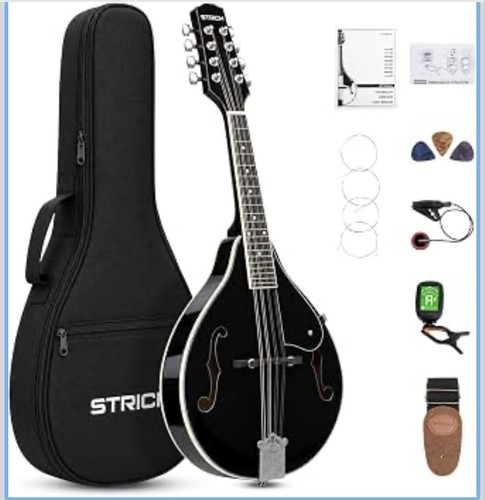 Acoustic mandolin musical - mandolin,