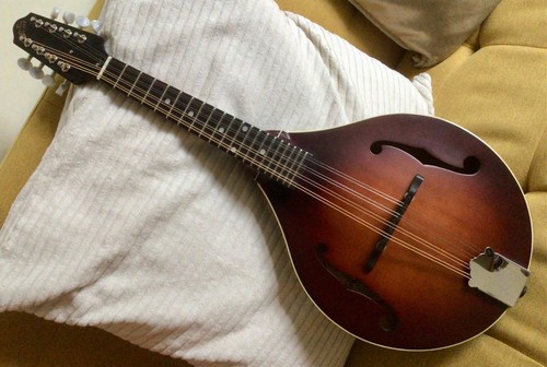 The loar 110 honey - the, creek