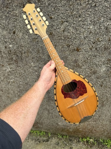 Vintage bowlback mandolin