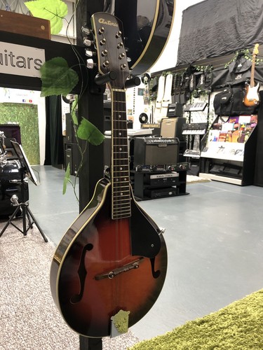 Antoria mandolin 1970s pro
