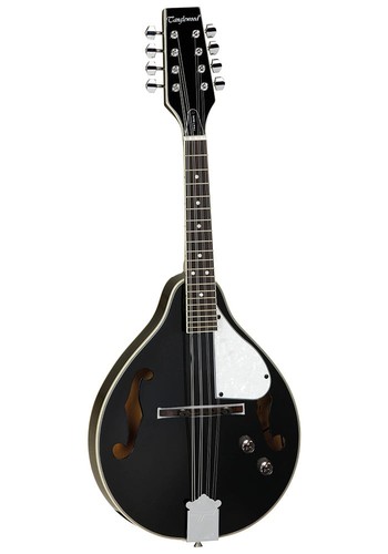 Electro acoustic mandolin - electro-acoustic,