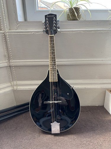 Ashbury style mandolin with - a-style,
