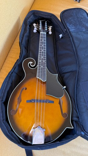 Tanglewood twm vsg - twm, cove