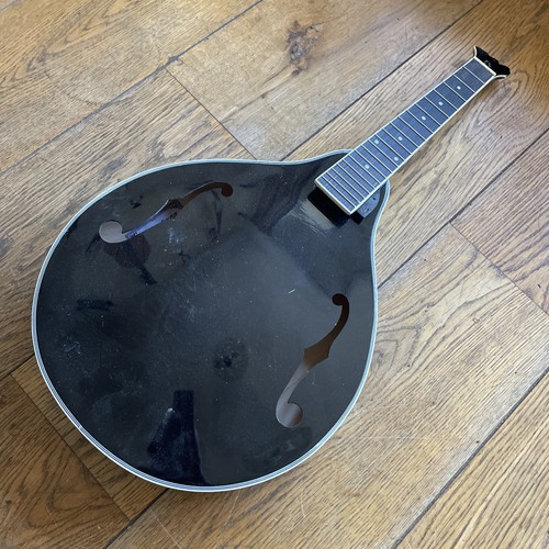 Mandolin project broken body - mandolin,