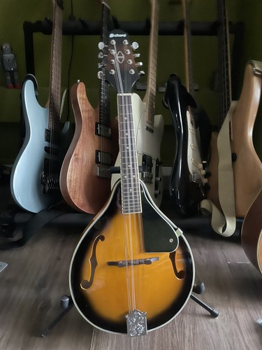 Chord ctm28 traditional - ctm28-rb,
