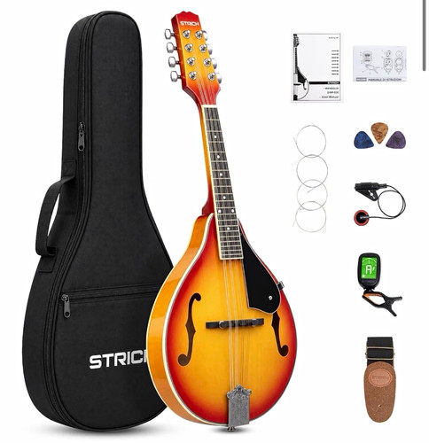 Strich acoustic mandolin - strich,