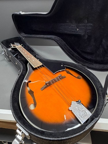 Godman mandolin with - mandolin, hard