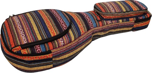 Mandolin gig bag and f - gig,