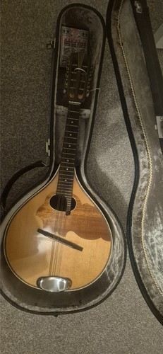 Ernie ball mandolin - ernie,
