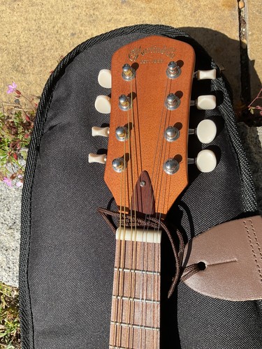 Martin backpacker mandolin - martin,