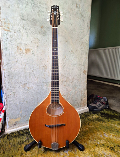 Weber sage octave mandolin - octave, /