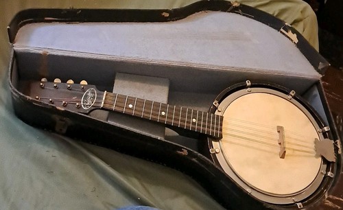 Vintage 1920s savana banjolin - vintage,