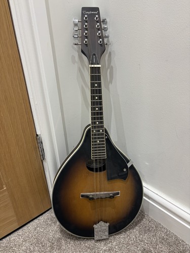 Tanglewood mandolin twmo - tanglewood,