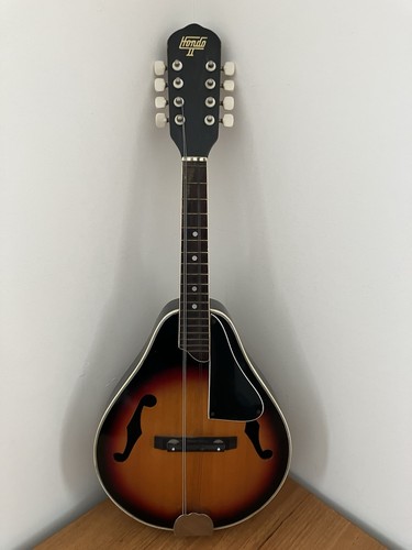 Vintage hondo mandolin - hondo,