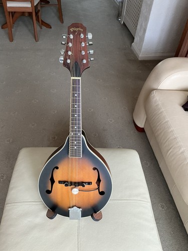 Pilgrim electro acoustic - pilgrim,