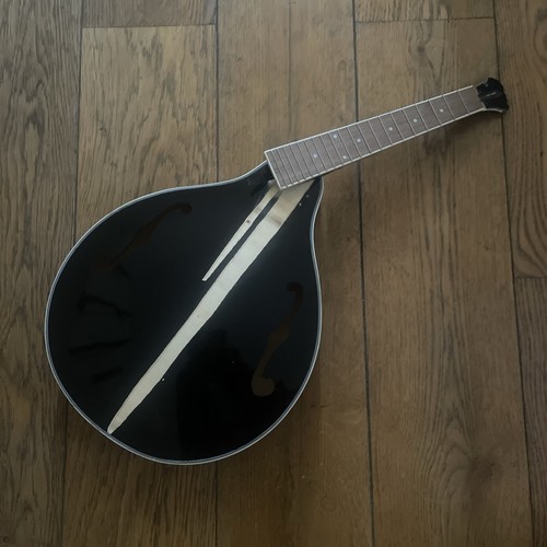 Mandolin project broken body - mandolin,