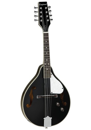 Tanglewood twm bkpe teardrop - tanglewood,
