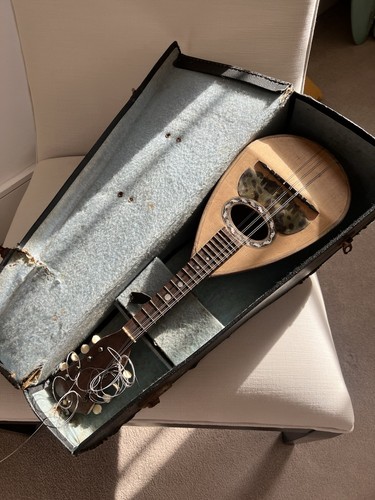 18th century mandolin made - mandolin,