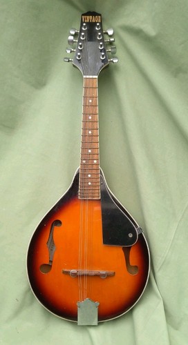 Vintage mandolin flat back - mandolin,
