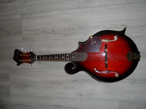 Electro acoustic mandolin