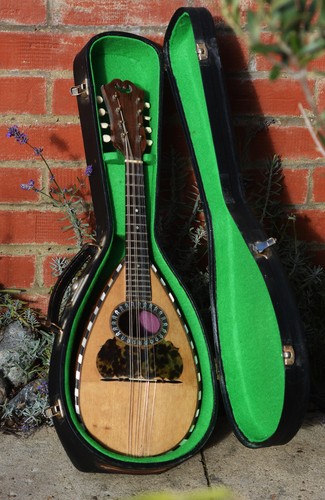 Vintage mandolin rosewood - mandolin,