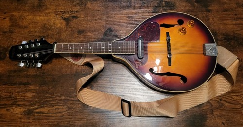 Countryman mandolin with case - ,