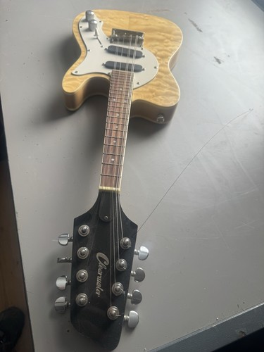 Clearwater electric mandolin - electric,