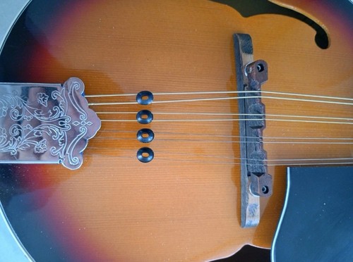 Mandolin overtone string - mandolin,
