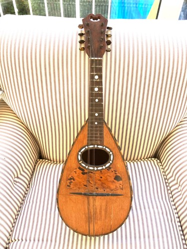 Vintage mandolin 1900 - mandolin, c.1900
