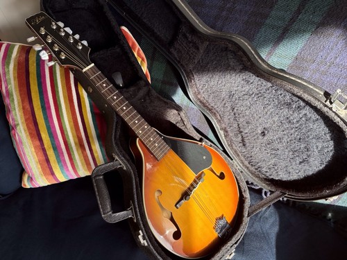 Aria mandolin electro acoustic - mandolin,